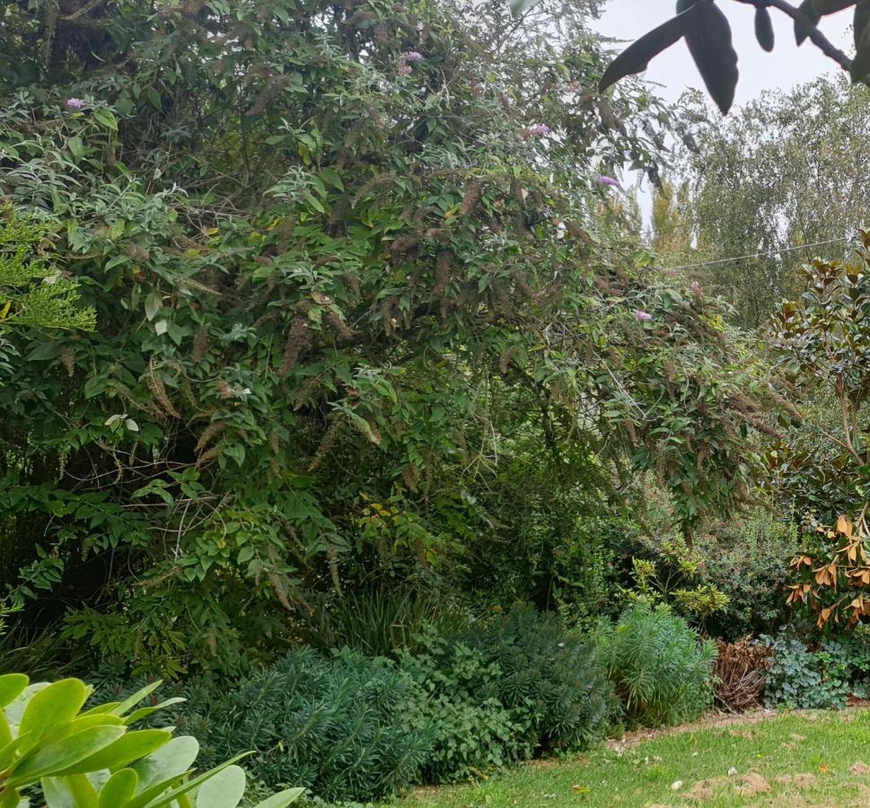 Windhaven Bed & Breakfast Duntroon Dış mekan fotoğraf