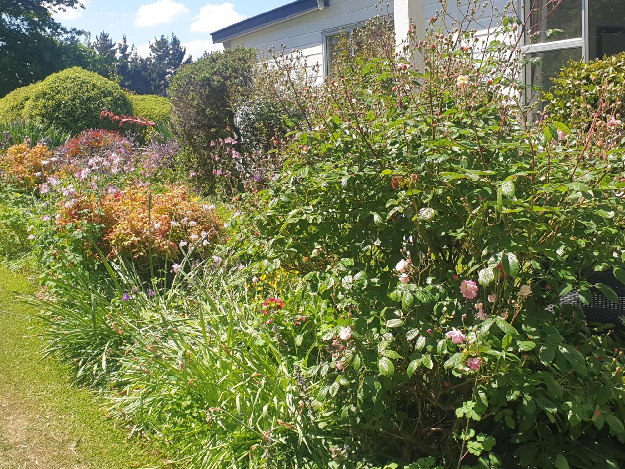 Windhaven Bed & Breakfast Duntroon Dış mekan fotoğraf